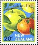 Citrus Fruit