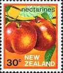 Nectarines