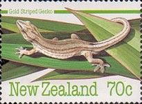 Gold Striped Gecko (Woodworthia chrysosiretica)