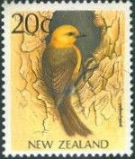 Yellowhead (Mohoua ochrocephala)