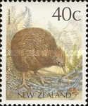 Brown Kiwi (Apteryx australis)