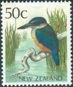 Sacred Kingfisher (Todiramphus sanctus)