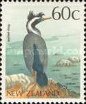 Spotted Shag (Phalacrocorax punctatus)