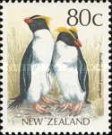 Fiordland Crested Penguin (Eudyptes pachyrhynchus)