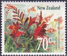 Montbretia (Crocosmia x crocosmiiflora)