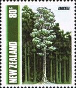 White Pine - Kahikatea (Dacrycarpus Dacrydioides)