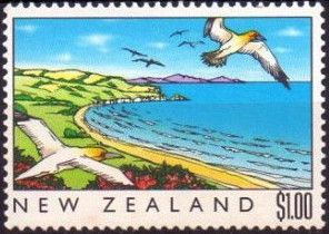 Coastal Scene, Australasian Gannet (Morus serrator)