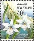 Dendrobium cunninghamii