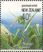 Pterostylis banksii