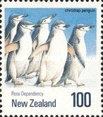 Chinstrap Penguin (Pygoscelis antarcticus)