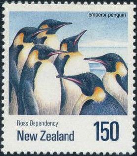 Emperor Penguin (Aptenodytes forsteri)