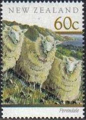 Perendale (Ovis ammon aries)