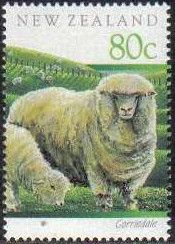 Corriedale (Ovis ammon aries)