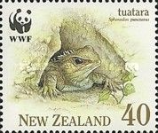 Tuatara (Sphenodon punctatus) in Crevice
