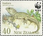 Tuatara (Sphenodon punctatus) with Foilage