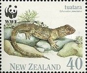 Tuatara (Sphenodon punctatus) on Rocks