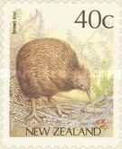 Brown Kiwi (Apteryx australis) - Coil Issue