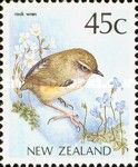 Rock Wren (Xenicus gilviventris)