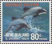 Hector's Dolphin