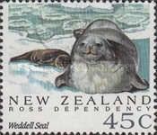 Weddell Seal (Leptonychetes weddelli)