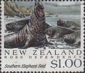 Southern Elephant Seal (Mirounga leonina)