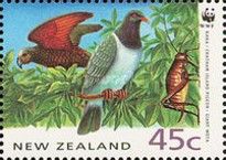 New Zealand Kaka, Chatham Is. Pigeon and Giant Weta