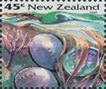 Paua (Haliotis iris)