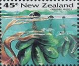 Greenshell Mussel (Perna canaliculus)