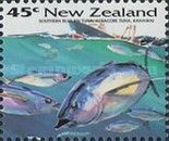 Southern Bluefin Tuna (Thunnus maccoyii)