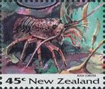 Southern Rock lobster (Jasus edwardsii)