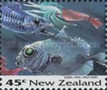 Squid (Stenoteuthis sp.), Hoki (Macruronus novaezelandiae),