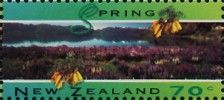 Spring, Lake Hawea, kowhai flower