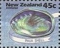Paua (Haliotis iris)