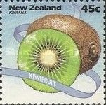 Kiwifruit