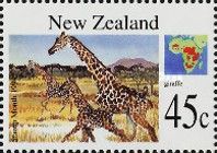 Giraffe (Giraffa camelopardalis)