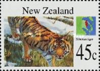 Tiger (Panthera tigris)