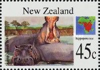 Hippopotamus (Hippopotamus amphibius)