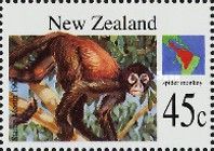 Spider Monkey sp. (Ateles sp.)