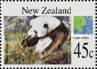 Giant Panda (Ailuropoda melanoleuca)