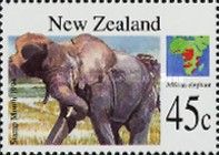 African Elephant (Loxodonta africana)