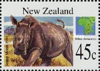 Black Rhinoceros (Diceros bicornis)