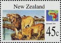Lion (Panthera leo)
