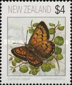 Common Copper (Lycaena salustius)