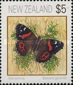 New Zealand Red Admiral (Bassaris gonerilla)