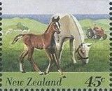 Mare with Foal (Equus ferus caballus)