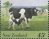 Cow (Bos primigenius taurus)