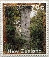 Giant Kauri Tree