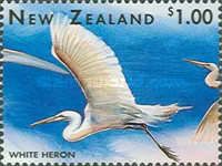 White Heron (Ardea alba)