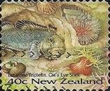 Estuarine Triplefin (Forsterygion nigripenne), Cat's Eye She