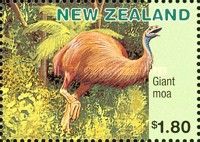 North Island Giant Moa (Dinornis giganteus)